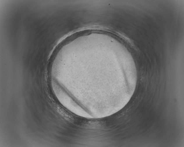 X0000080721264200701121834