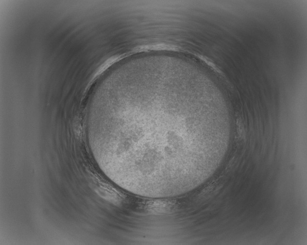 X0000080721266200701121834