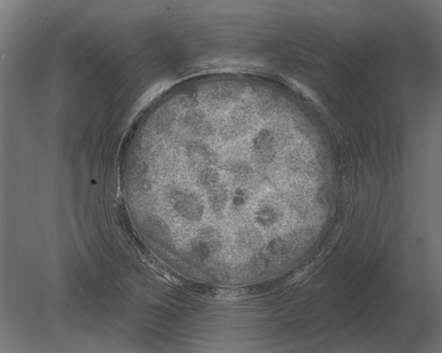 X0000080721267200701121834