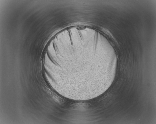 X0000080721268200701121834