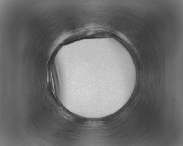 X0000080721269200701121834