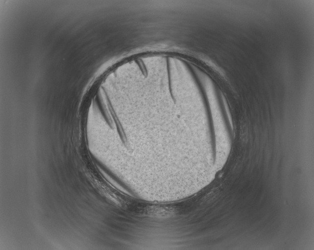 X0000080721270200701121834