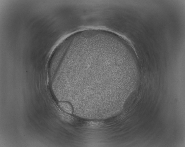 X0000080721271200701121834