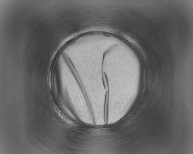 X0000080721272200701121834