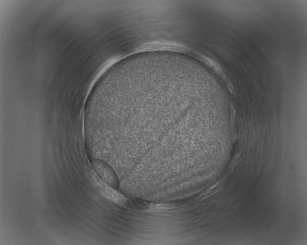 X0000080721275200701121834