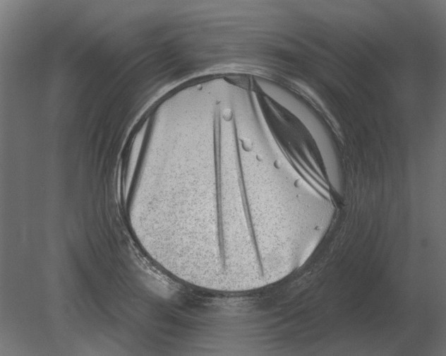 X0000080721276200701121834