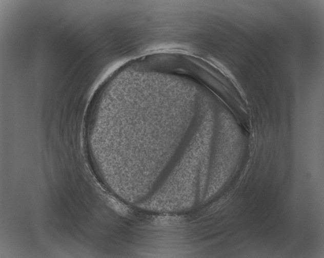 X0000080721277200701121834