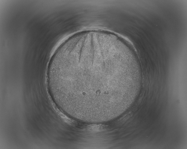 X0000080721279200701121834