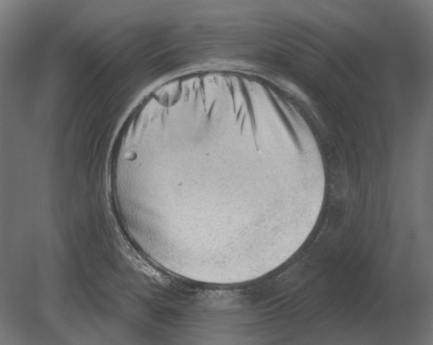 X0000080721280200701121834