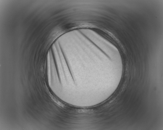 X0000080721281200701121834