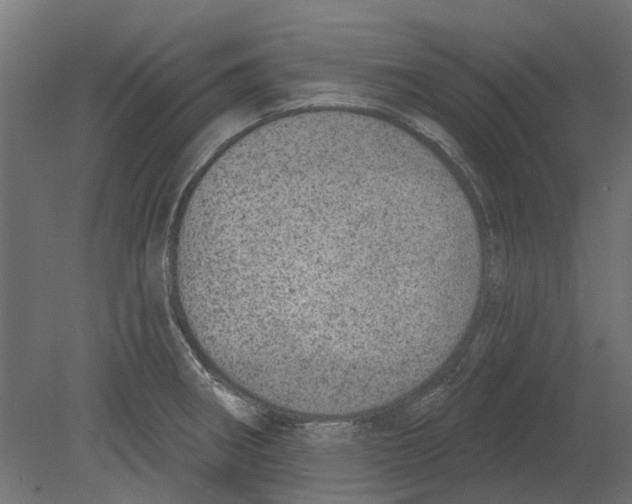 X0000080721282200701121834