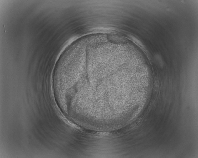 X0000080721283200701121834