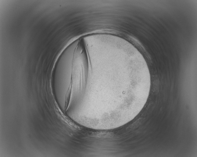 X0000080721284200701121834