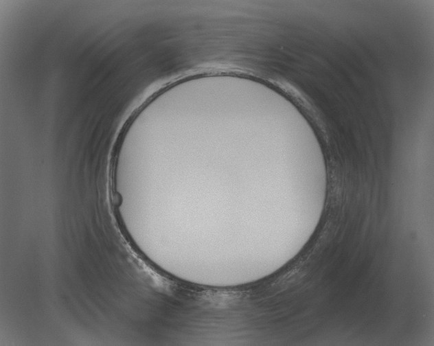 X0000080721286200701121834