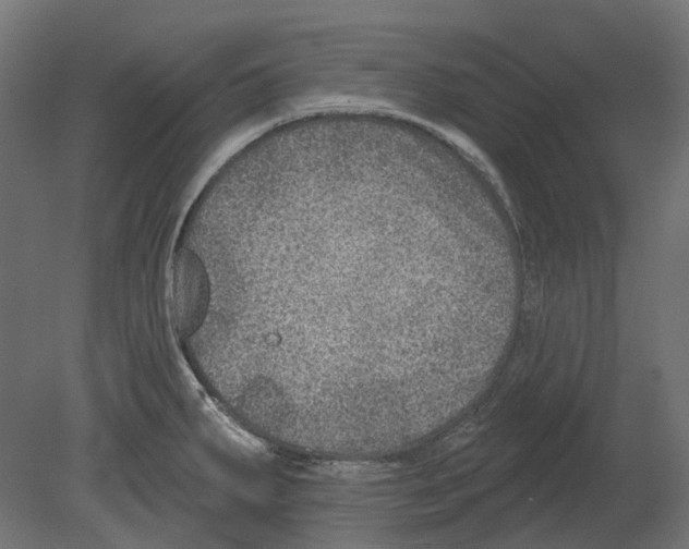 X0000080721287200701121834