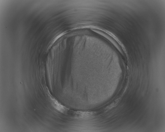 X0000080721289200701121834