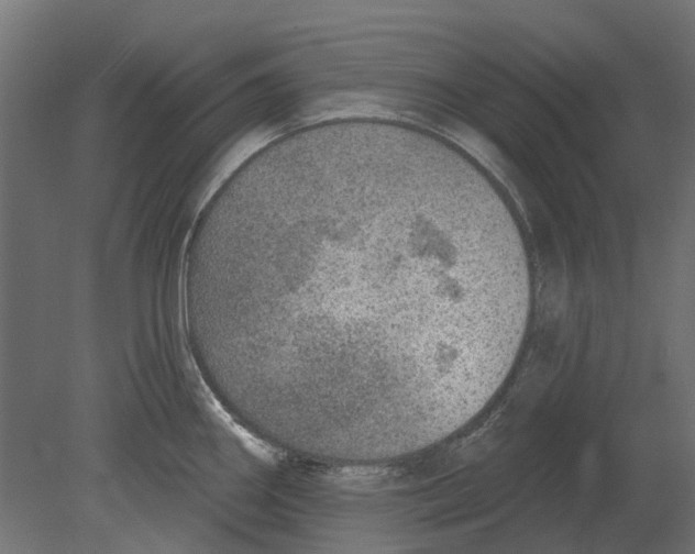 X0000080721290200701121834