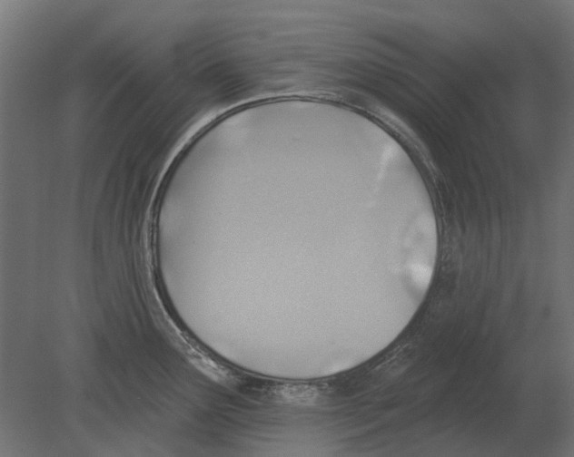 X0000080721291200701121834