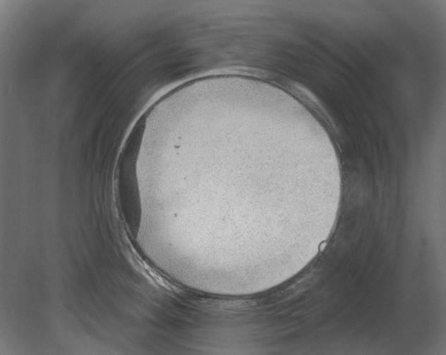 X0000080721292200701121834