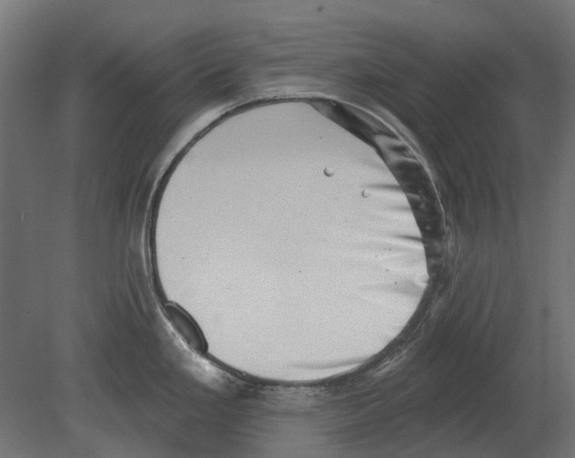 X0000080721293200701121834