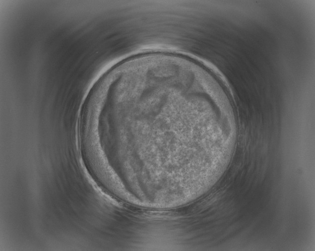 X0000080721295200701121834