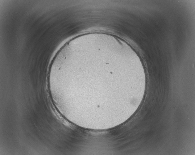 X0000080721296200701121834