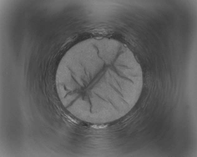 X0000080721297200701121833