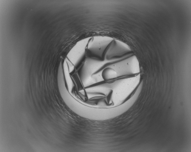 X0000080721298200701121833