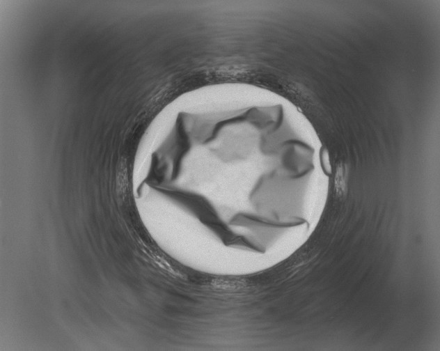 X0000080721299200701121833