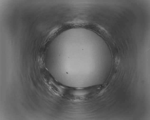 X0000080721300200701121833