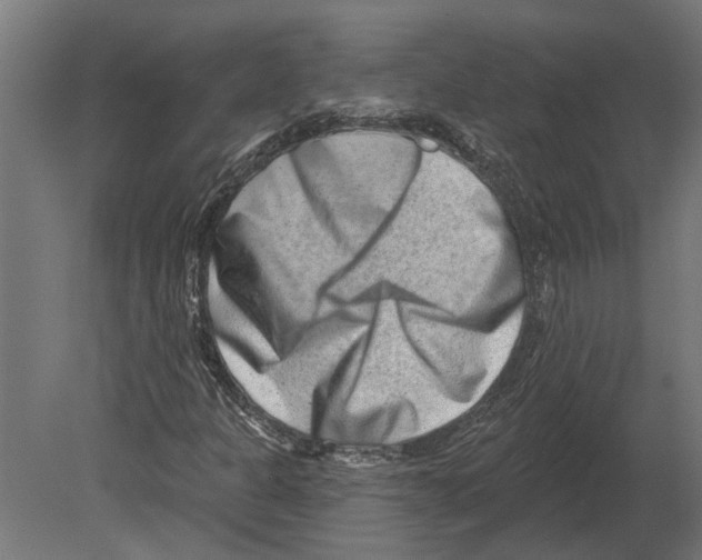 X0000080721301200701121833