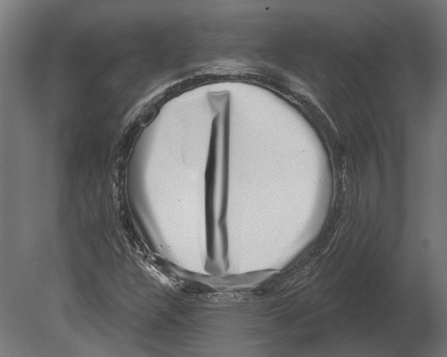 X0000080721304200701121833