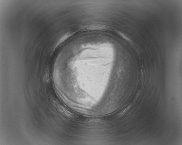 X0000080721306200701121833