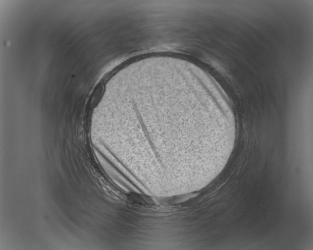 X0000080721308200701121833