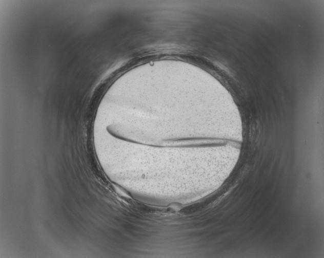 X0000080721309200701121833