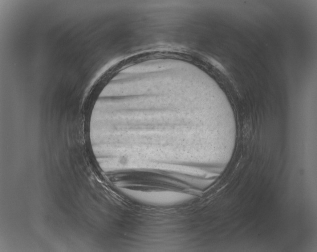 X0000080721310200701121833