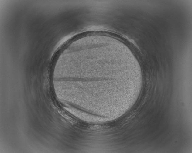 X0000080721311200701121833