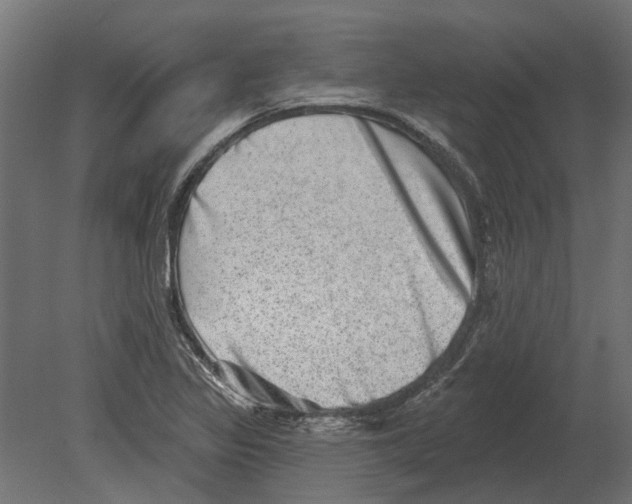 X0000080721317200701121833