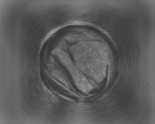 X0000080721319200701121833