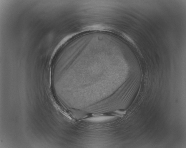 X0000080721323200701121833