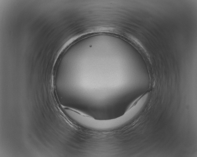 X0000080721324200701121833