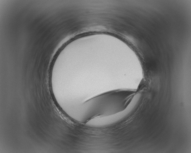 X0000080721326200701121833