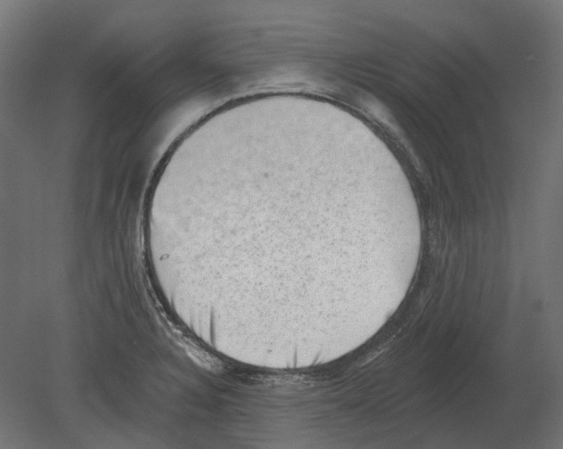 X0000080721328200701121833