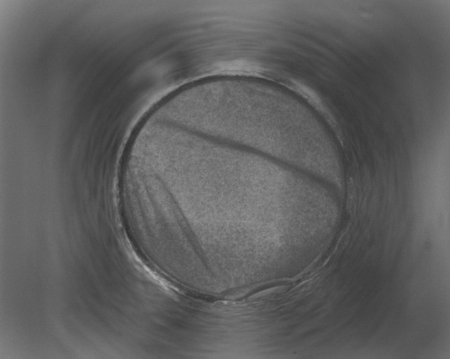 X0000080721331200701121833