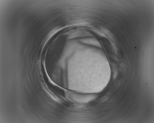 X0000080721332200701121833