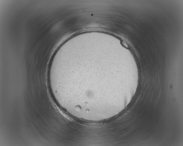 X0000080721333200701121833