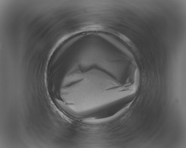 X0000080721334200701121833