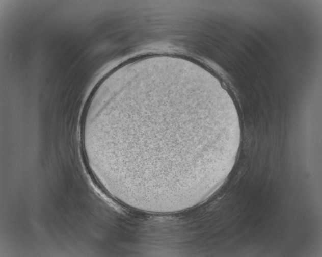 X0000080721335200701121833