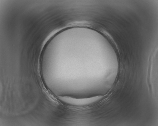 X0000080721336200701121833