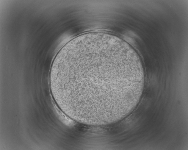 X0000080721338200701121834